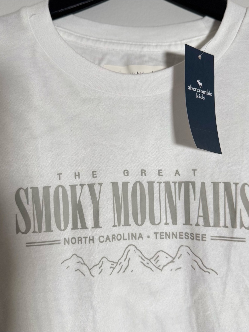 Abercrombie Kids Smoky Mountains Long Sleeve Graphic Tee White Size 13/14 NWT